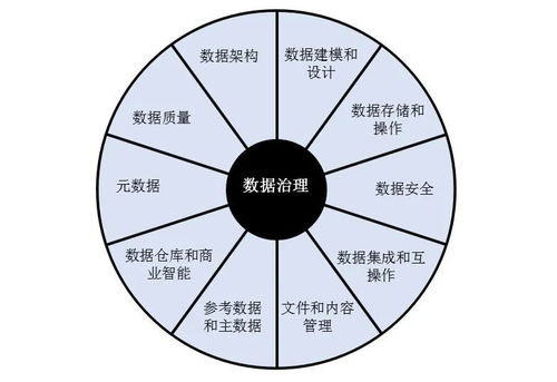 解密DAMA DMBoK框架 構建高效數據處理能力的綜合方法