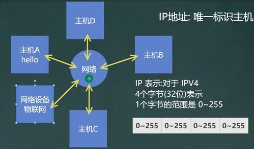網(wǎng)絡(luò)編程與信息安全軟件開(kāi)發(fā)基礎(chǔ)概覽
